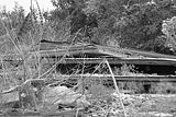 waste deposit_016
